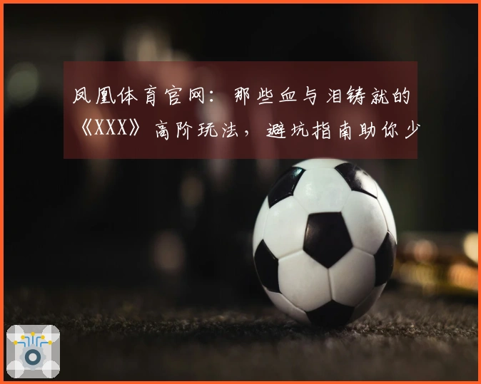 凤凰体育官网：那些血与泪铸就的《XXX》高阶玩法，避坑指南助你少走弯路