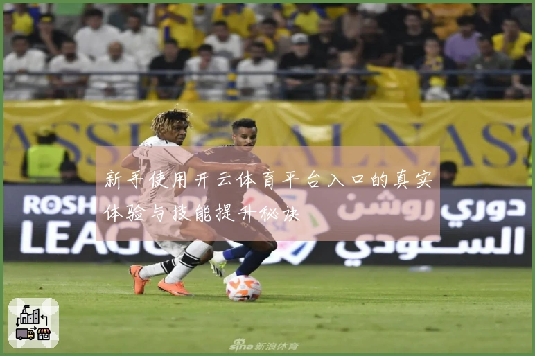 新手使用开云体育平台入口的真实体验与技能提升秘诀