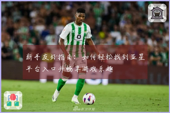 新手友好指南：如何轻松找到亚星平台入口并畅享游戏乐趣