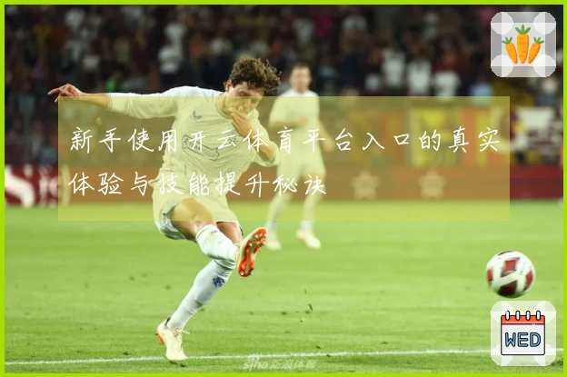 新手使用开云体育平台入口的真实体验与技能提升秘诀